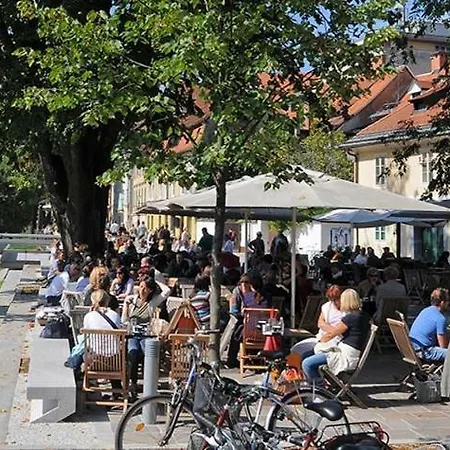 Apartment By The Castle Hill